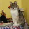 Отзыв от Альфия Лобанова